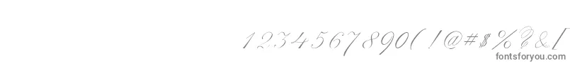ScriptThinPen-fontti – harmaat kirjasimet valkoisella taustalla