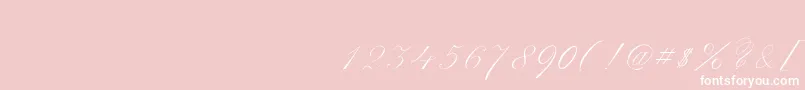 Police ScriptThinPen – polices blanches sur fond rose