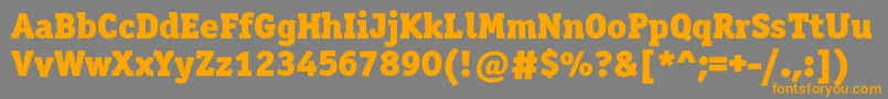 Officinaserifblackc Font – Orange Fonts on Gray Background