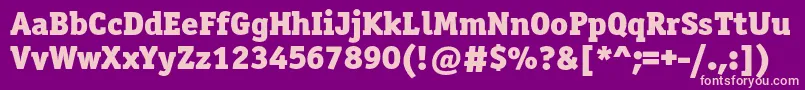 Officinaserifblackc Font – Pink Fonts on Purple Background