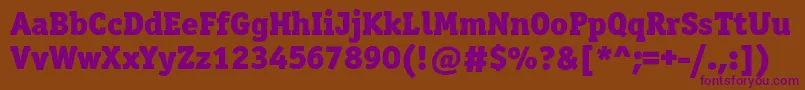 Officinaserifblackc Font – Purple Fonts on Brown Background