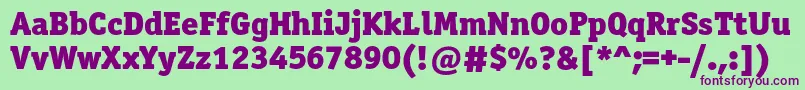 Officinaserifblackc Font – Purple Fonts on Green Background