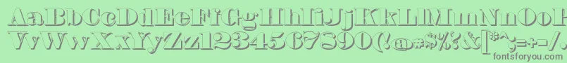 FetteBauerscheAntiquaShadowUnz1 Font – Gray Fonts on Green Background