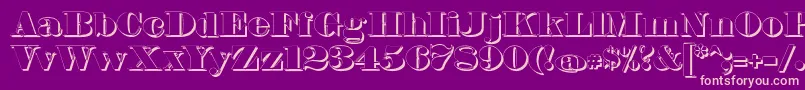 FetteBauerscheAntiquaShadowUnz1 Font – Pink Fonts on Purple Background