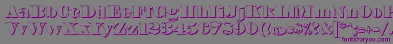 FetteBauerscheAntiquaShadowUnz1 Font – Purple Fonts on Gray Background