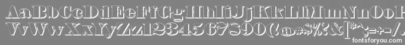 FetteBauerscheAntiquaShadowUnz1 Font – White Fonts on Gray Background