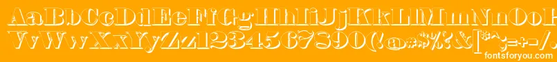 FetteBauerscheAntiquaShadowUnz1 Font – White Fonts on Orange Background