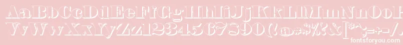 FetteBauerscheAntiquaShadowUnz1 Font – White Fonts on Pink Background