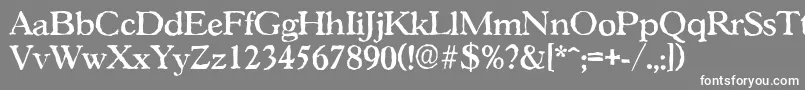 GascogneantiqueMediumRegular Font – White Fonts on Gray Background