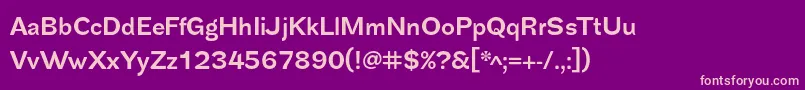 SplendidSans Font – Pink Fonts on Purple Background