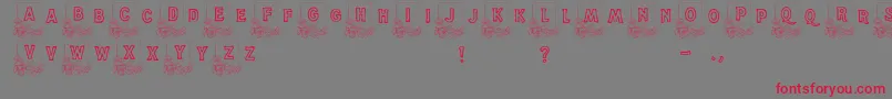 Dandelion Font – Red Fonts on Gray Background