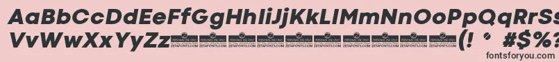 CodecColdHeavyItalicTrial Font – Black Fonts on Pink Background