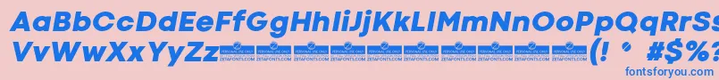 CodecColdHeavyItalicTrial Font – Blue Fonts on Pink Background