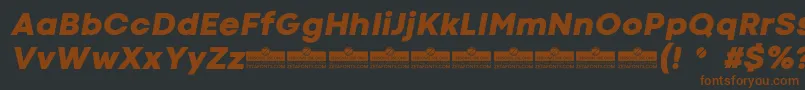 CodecColdHeavyItalicTrial Font – Brown Fonts on Black Background