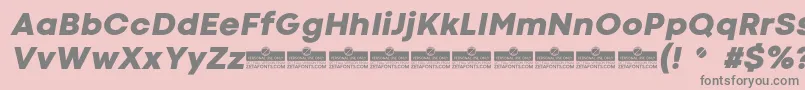 CodecColdHeavyItalicTrial Font – Gray Fonts on Pink Background