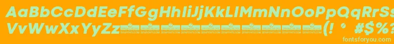CodecColdHeavyItalicTrial Font – Green Fonts on Orange Background