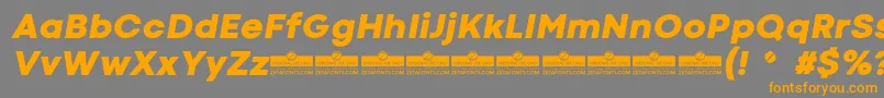 CodecColdHeavyItalicTrial Font – Orange Fonts on Gray Background