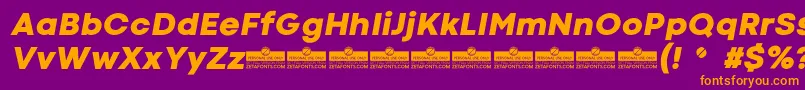 CodecColdHeavyItalicTrial Font – Orange Fonts on Purple Background