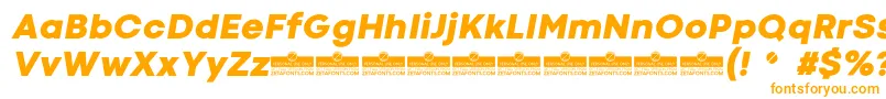 CodecColdHeavyItalicTrial Font – Orange Fonts on White Background
