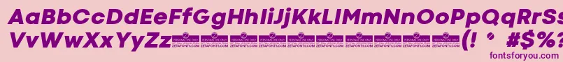 CodecColdHeavyItalicTrial Font – Purple Fonts on Pink Background