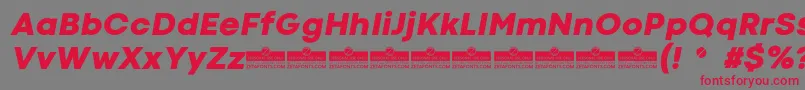 CodecColdHeavyItalicTrial Font – Red Fonts on Gray Background