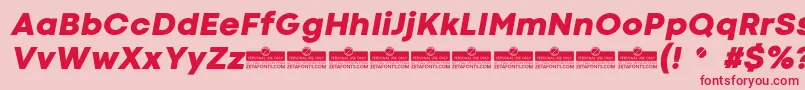 CodecColdHeavyItalicTrial Font – Red Fonts on Pink Background