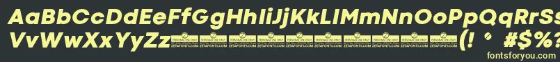 CodecColdHeavyItalicTrial Font – Yellow Fonts on Black Background