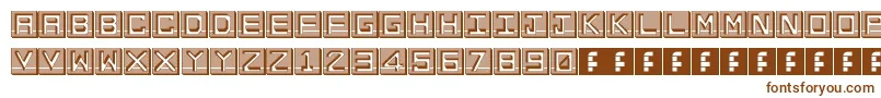 EnHollowTiles Font – Brown Fonts on White Background