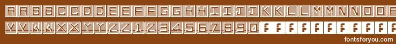 EnHollowTiles Font – White Fonts on Brown Background