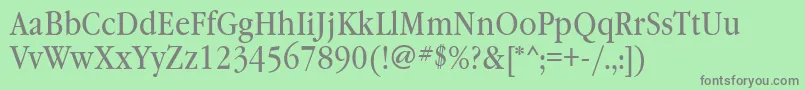 Garamondbooknarrowgtt Font – Gray Fonts on Green Background