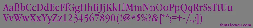 Garamondbooknarrowgtt Font – Purple Fonts on Gray Background