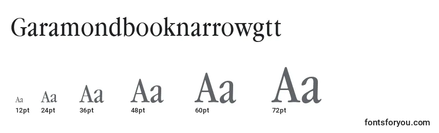 Размеры шрифта Garamondbooknarrowgtt