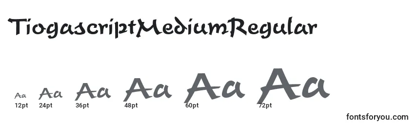 Размеры шрифта TiogascriptMediumRegular