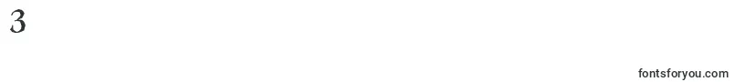LeamingtonantiqueRegular Font – Fonts for Digit 3