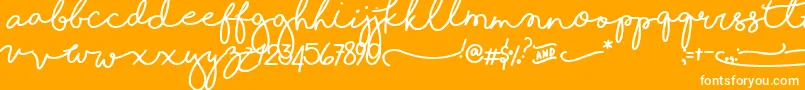 ShorelinesScriptBold-Schriftart – Weiße Schriften auf orangefarbenem Hintergrund