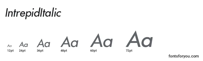 Размеры шрифта IntrepidItalic