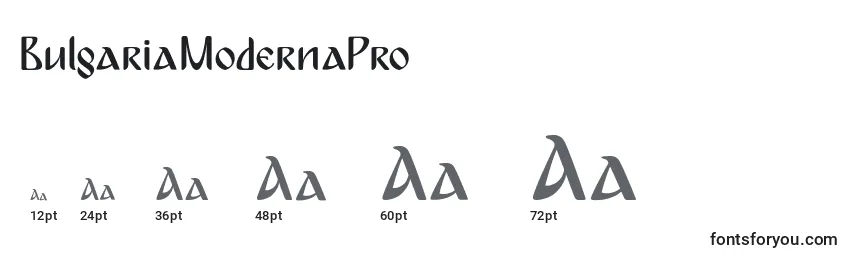 Размеры шрифта BulgariaModernaPro