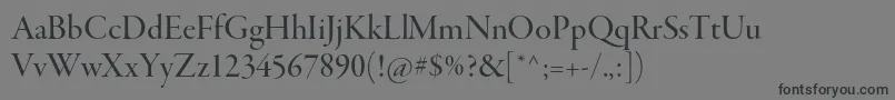 GaramondpremrproMeddisp Font – Black Fonts on Gray Background