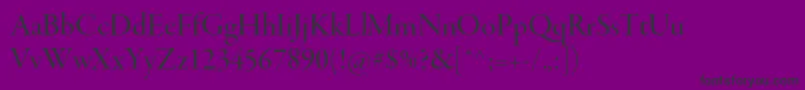 GaramondpremrproMeddisp Font – Black Fonts on Purple Background