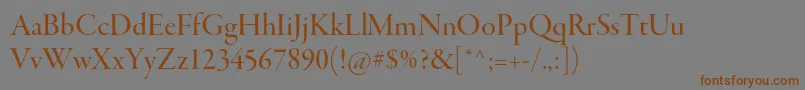 GaramondpremrproMeddisp Font – Brown Fonts on Gray Background