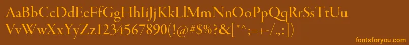 GaramondpremrproMeddisp Font – Orange Fonts on Brown Background