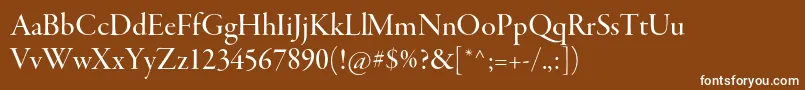 GaramondpremrproMeddisp Font – White Fonts on Brown Background