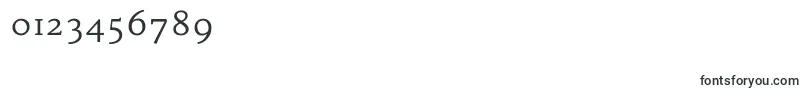 HabibiRegular Font – Fonts for Numbers and Digits