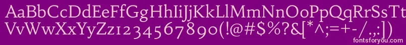 HabibiRegular Font – Pink Fonts on Purple Background