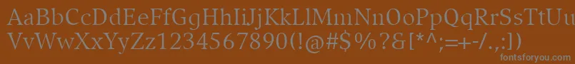CompatilExquisitLtComRegular Font – Gray Fonts on Brown Background