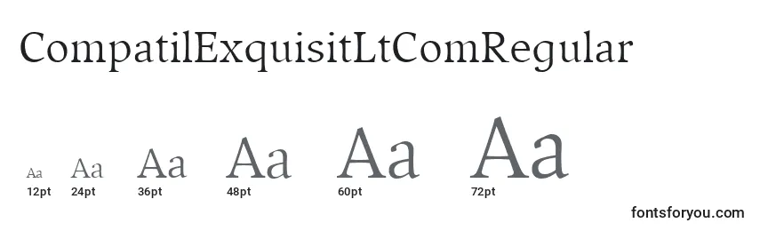 Размеры шрифта CompatilExquisitLtComRegular