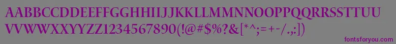 WaterstitlingproSbscn Font – Purple Fonts on Gray Background