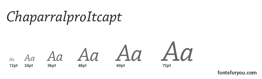 Размеры шрифта ChaparralproItcapt