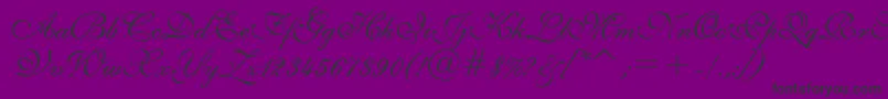 English111PrestoBt-Schriftart – Schwarze Schriften auf violettem Hintergrund