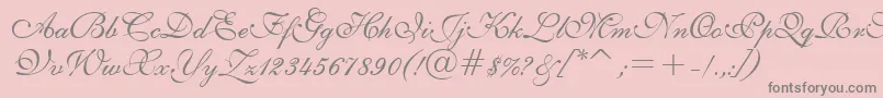 English111PrestoBt Font – Gray Fonts on Pink Background